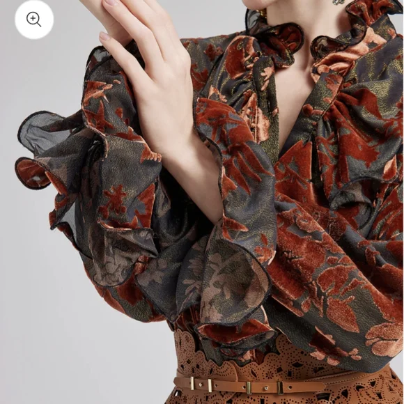 Rich Radi Q's Glittery Silk Burnout Velvet Blouse - Star Queen Brown Size XSmall - Picture 2 of 11